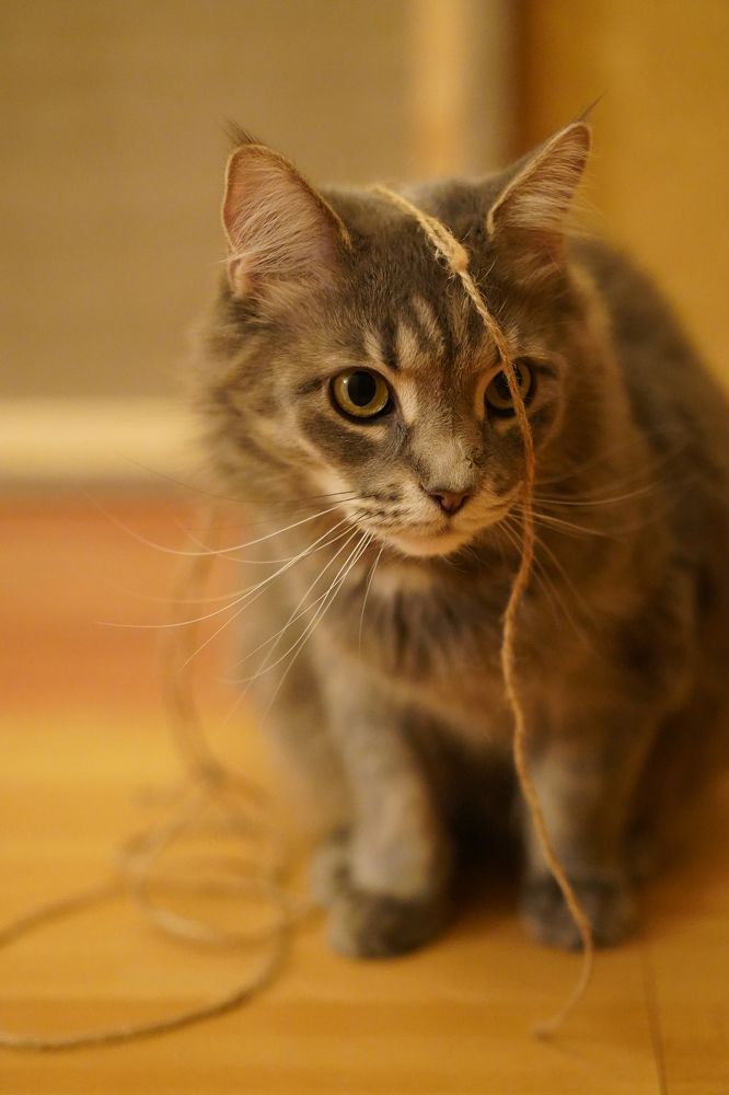 Photograph by Vadim Ozz