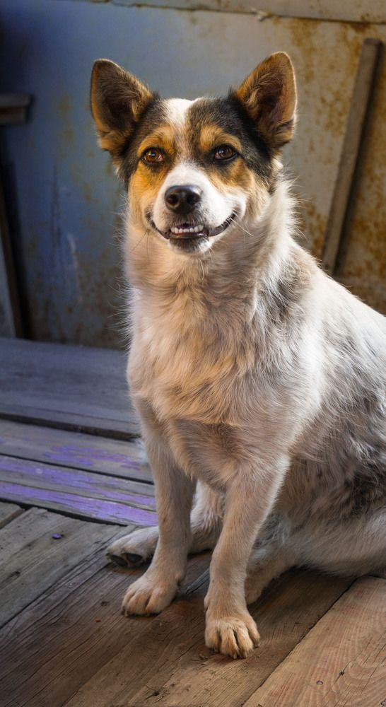 Photograph by Slesareva Nina