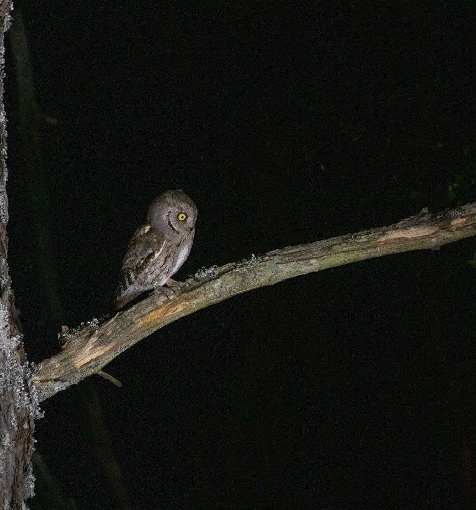 Photograph by Дарья Дрыночкина