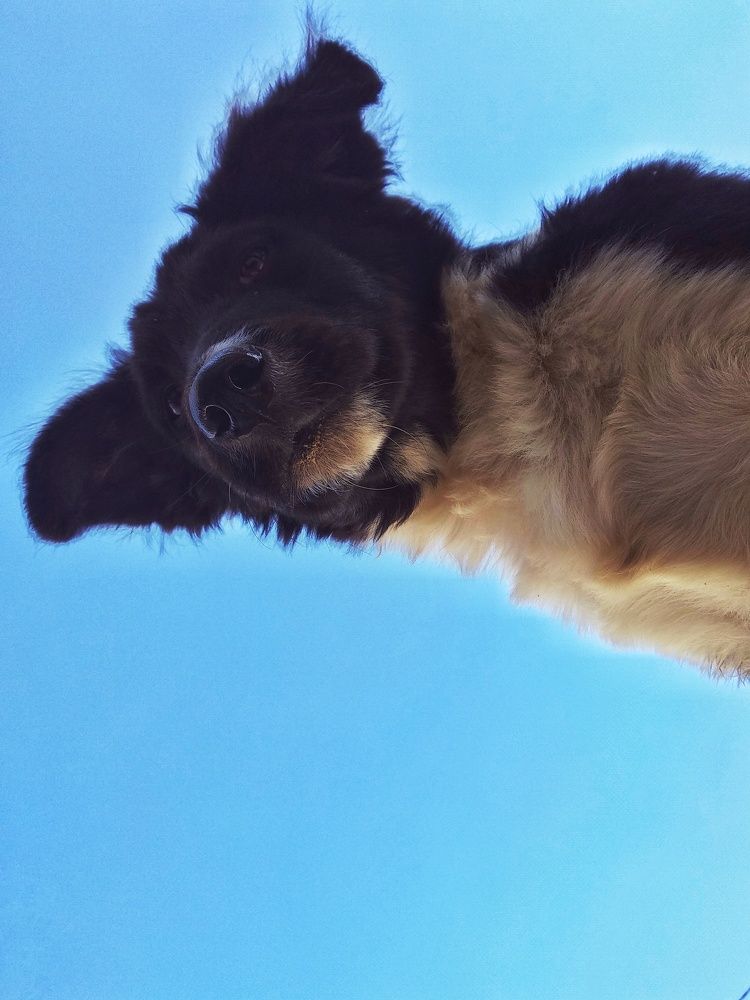 Photograph by Mahaveer singh Mahi