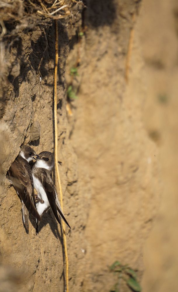 Photograph by Slesareva Nina