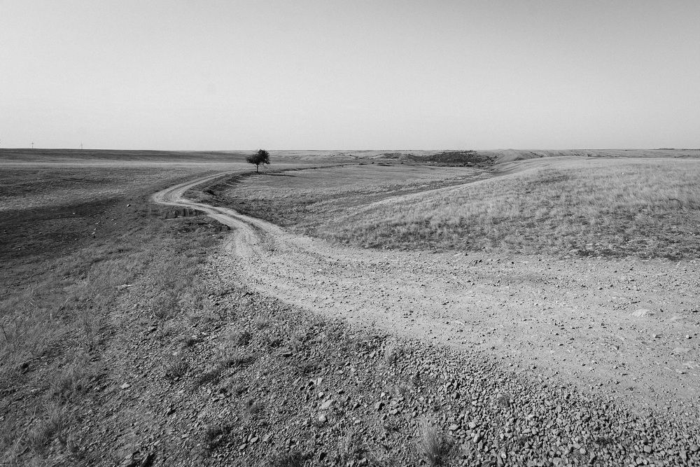 Photograph by ЕВГЕНИЙ РУДЕНКО