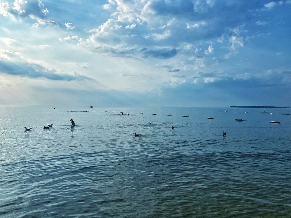 Photograph by Трайко Байко