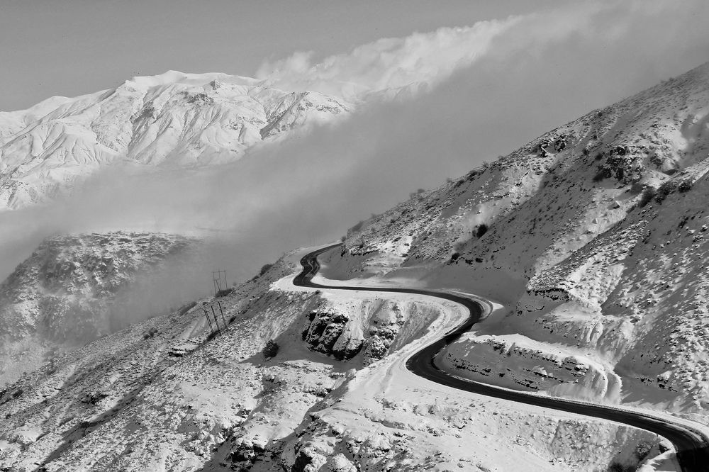 Photograph by samaneh jamali