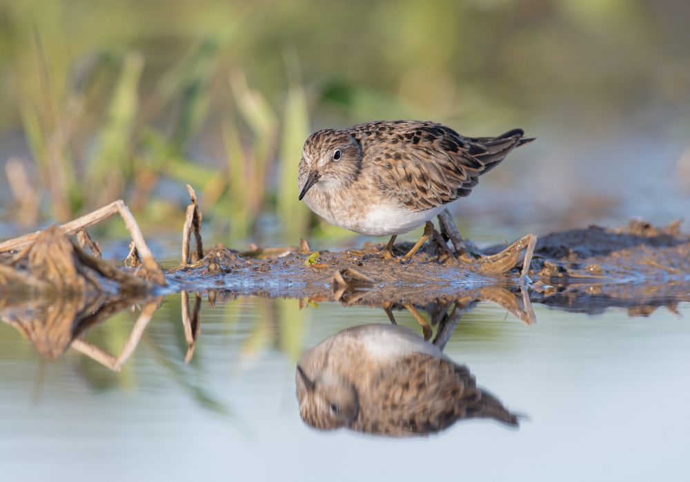 Photograph by Андрей Киселёв