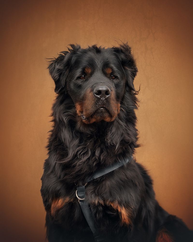 Photograph by Динара