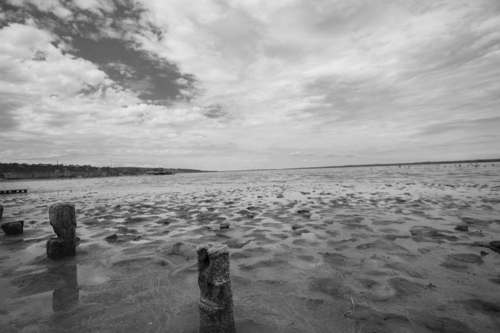 Photograph by Регина Орехова