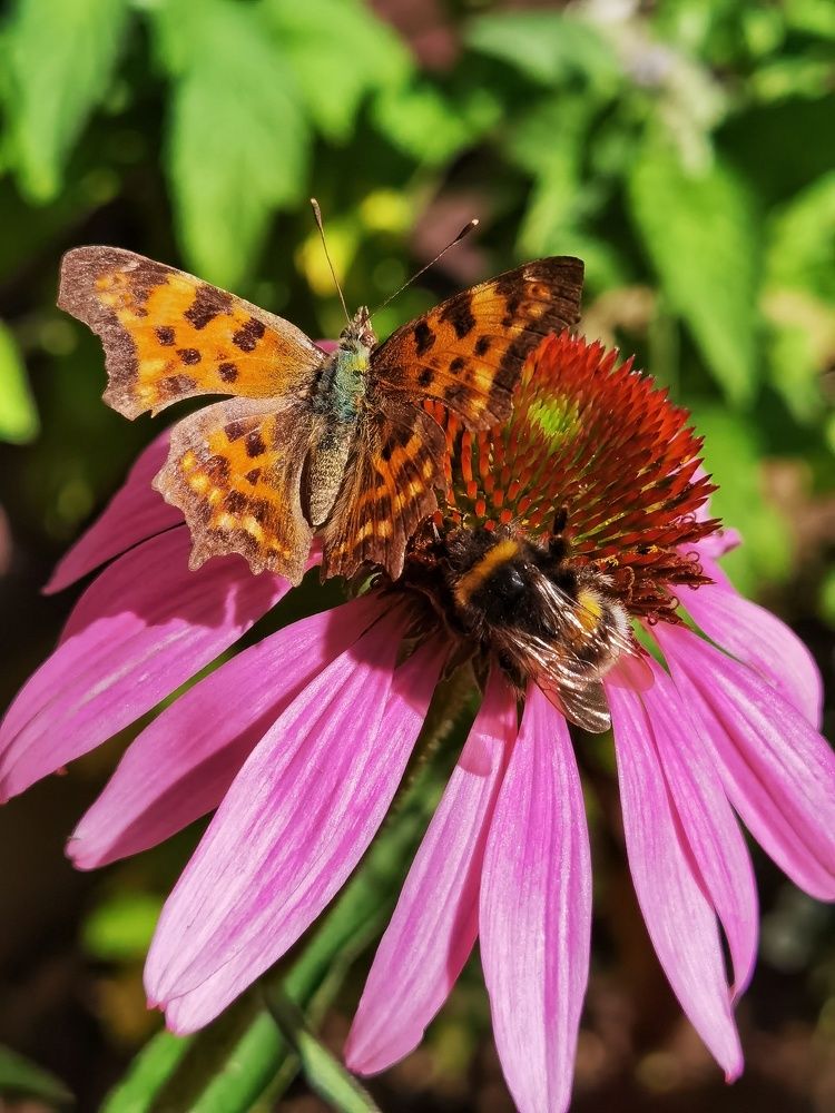 Photograph by Олика