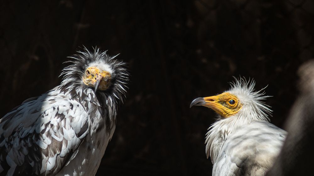 Фотография автора Алексей Школдин