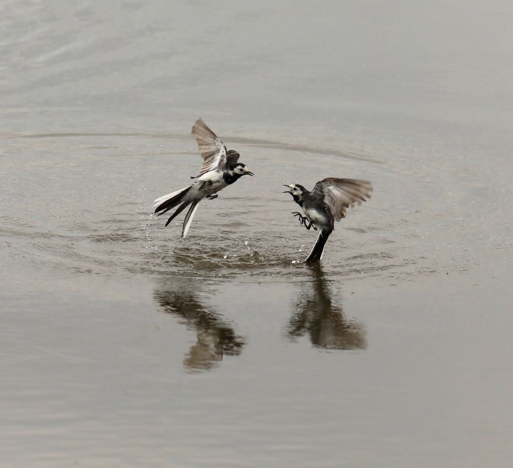 Photograph by Pauline Doran