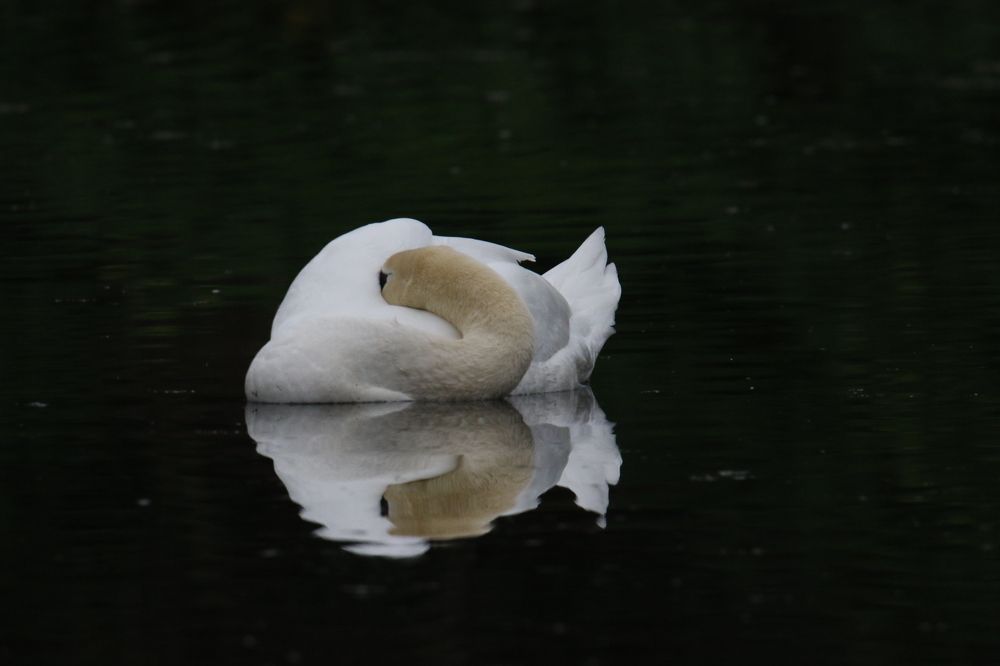 Photograph by Pauline Doran