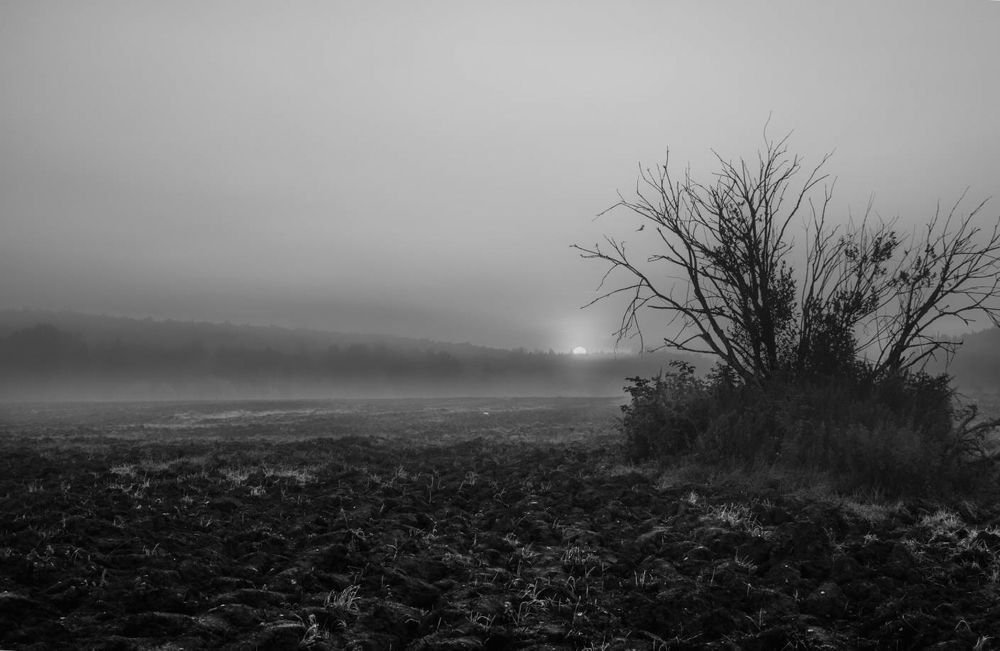 Photograph by Nikita Silyavin