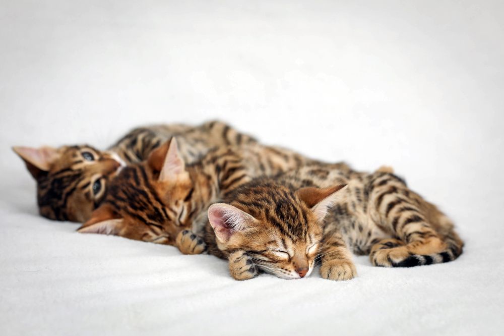 Photograph by Ландыш Фатхутдинова