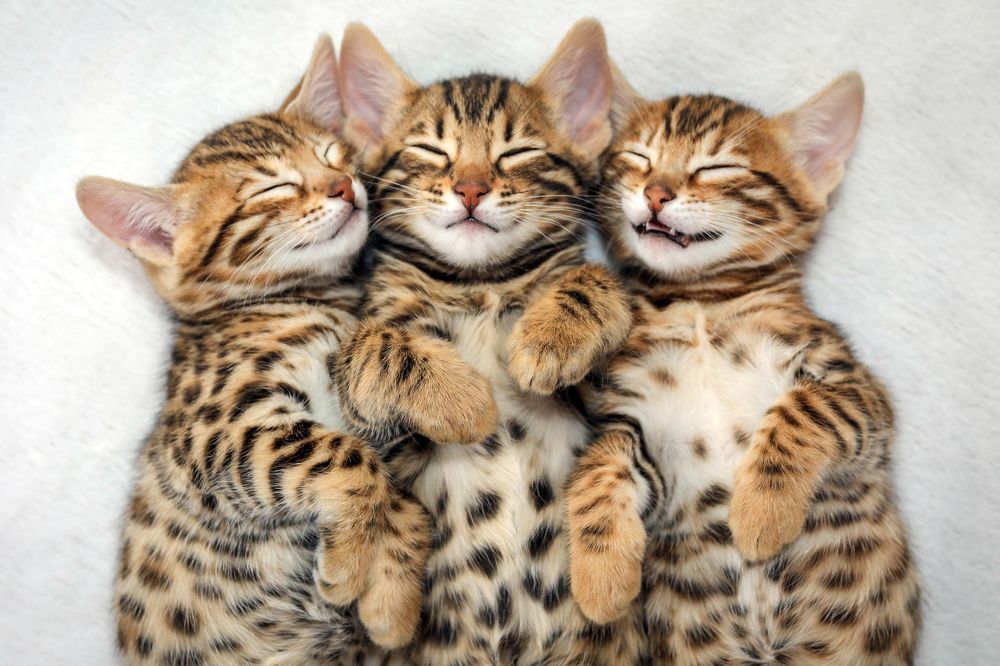 Photograph by Ландыш Фатхутдинова