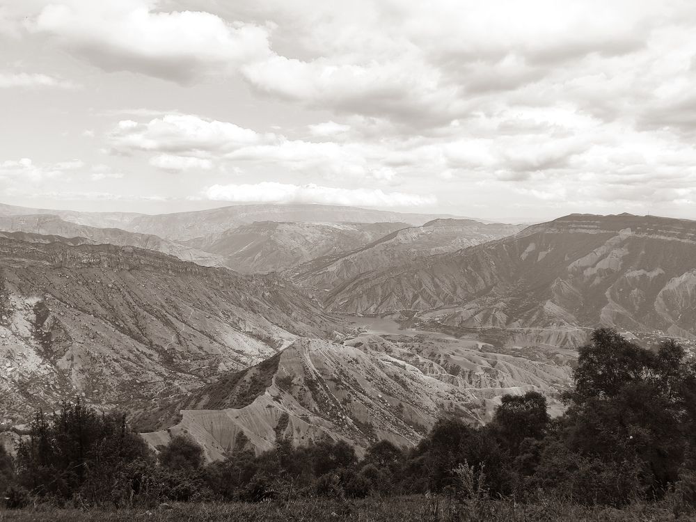 Photo #7610856