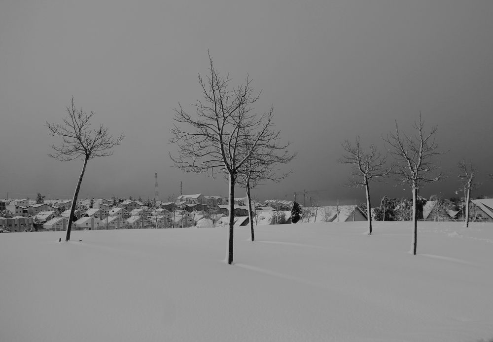 Photograph by Ion Popa