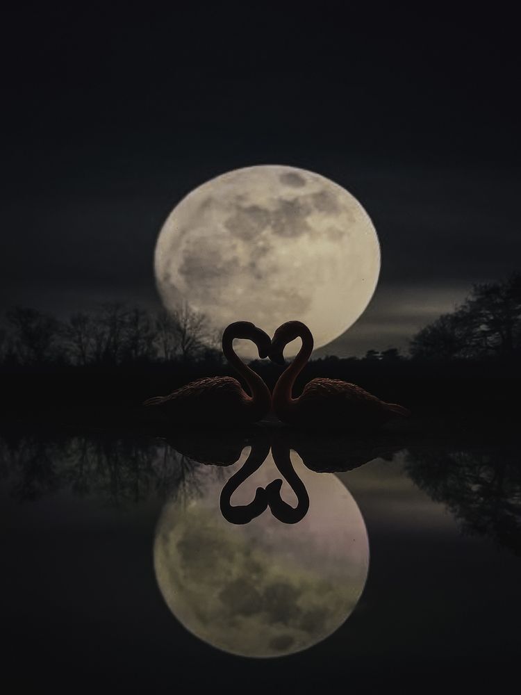 Photograph by Abdullah Al Battah