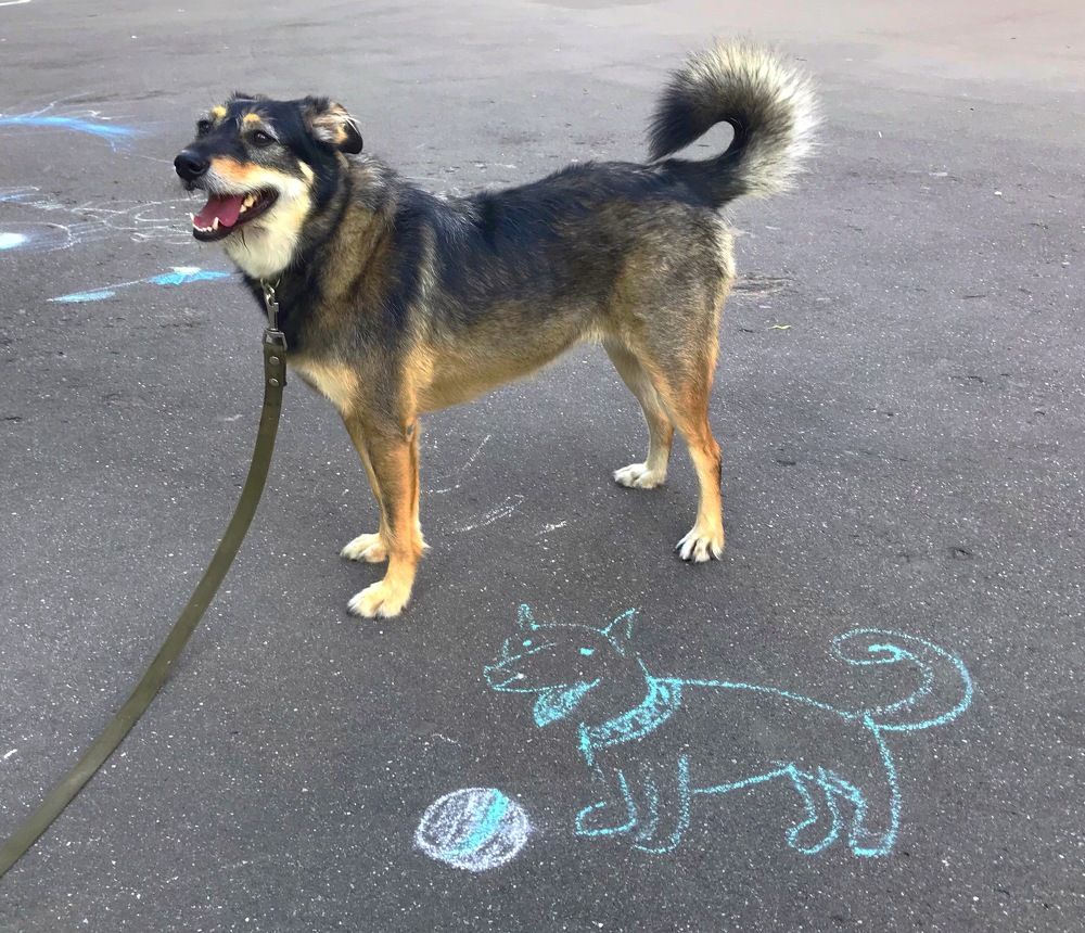 Портрет неизвестного художника.