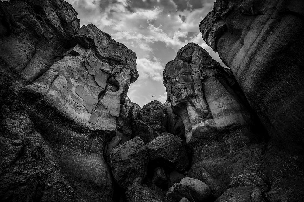 Photograph by Abdullah Al Battah