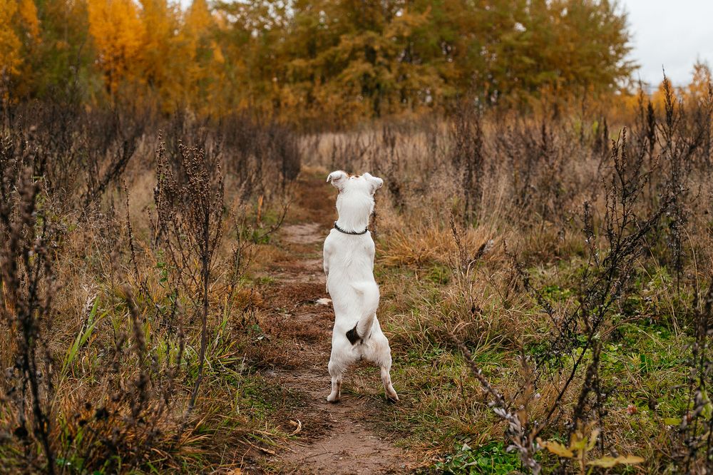 Photograph by Светлана Кузнецова