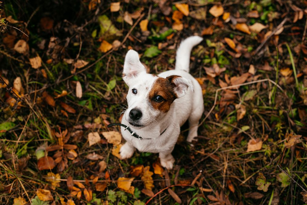 Photograph by Светлана Кузнецова