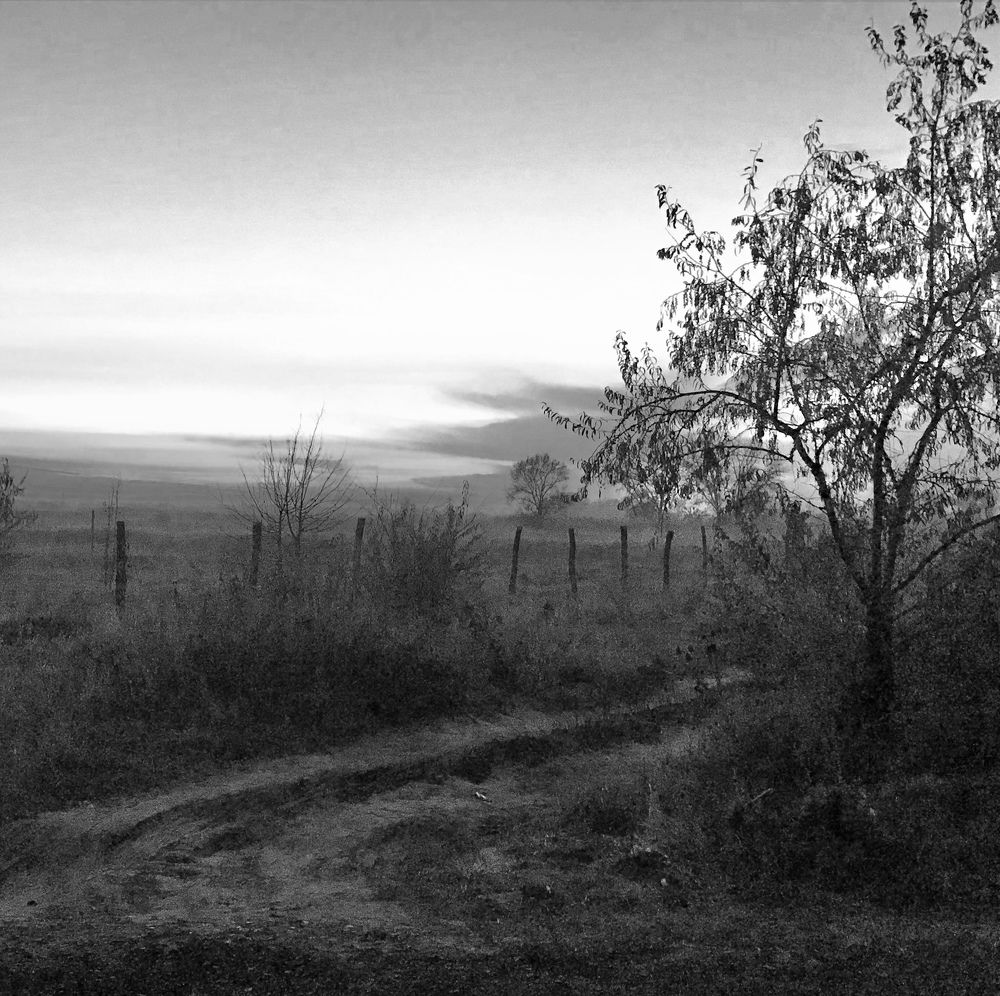 Photograph by Хавронина Марина