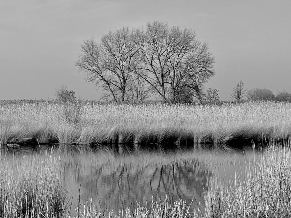 Photograph by Хавронина Марина