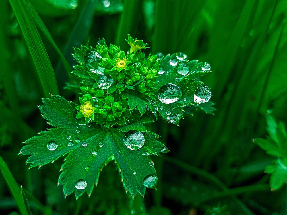 После дождя