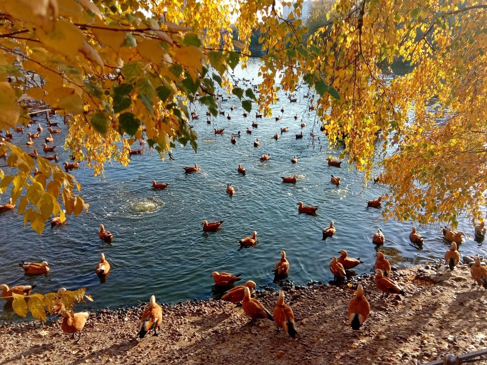 Photograph by Галина Искандарова