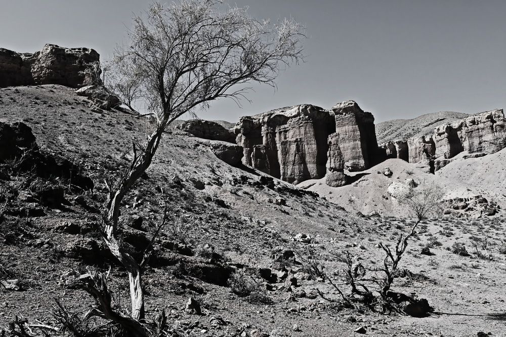 Photograph by Наталья Баранова