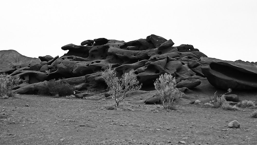 Photograph by Наталья Баранова