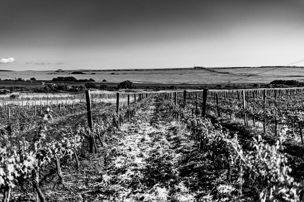 Фотография автора Наталья Кирпичёва