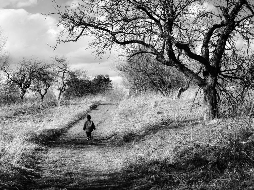 Photograph by Алеся Цеван