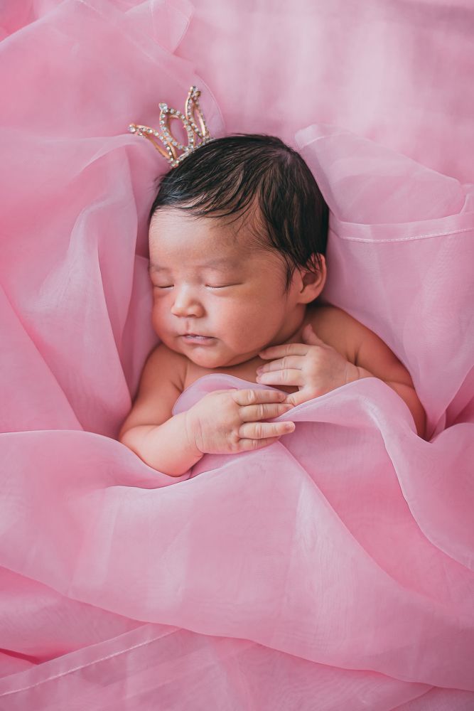 Фотография автора Дарья Шевченко