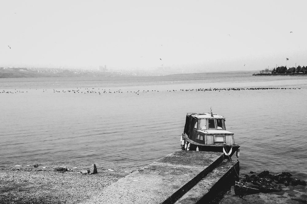 Фотография автора Omer Erdogan