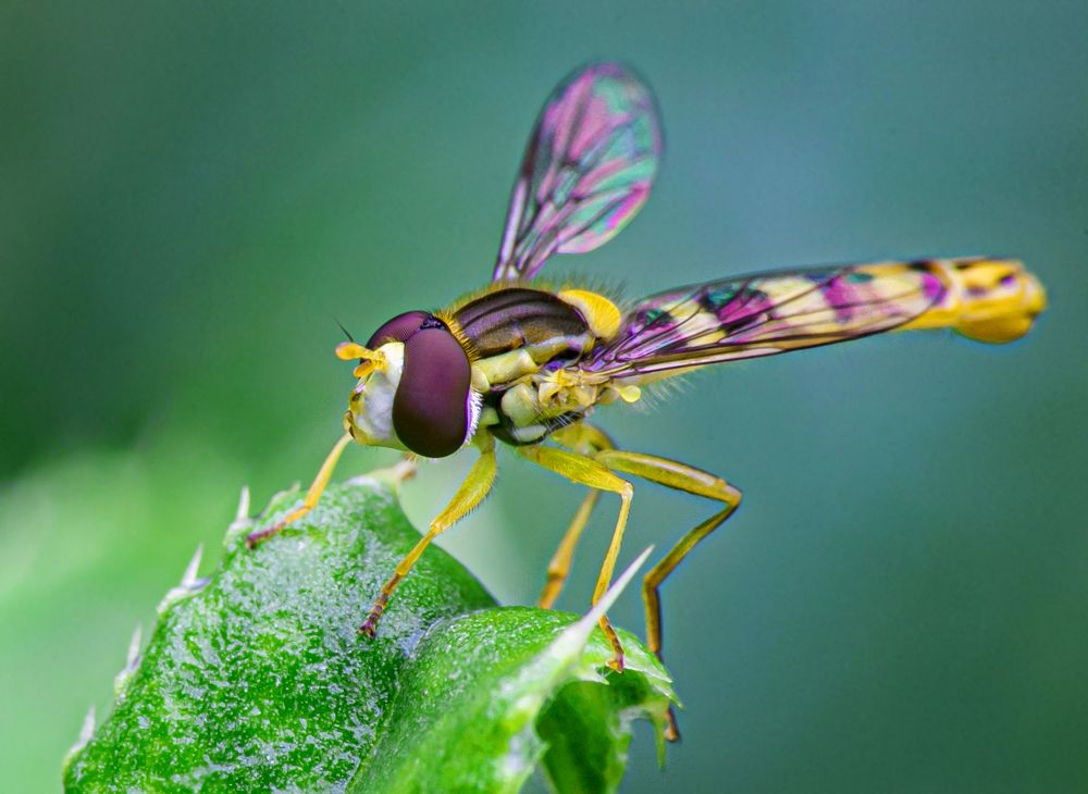 Photograph by Сергей Пак