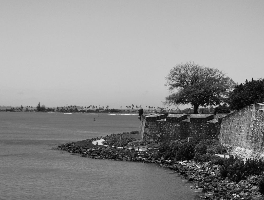 Фотография автора Jose Otero