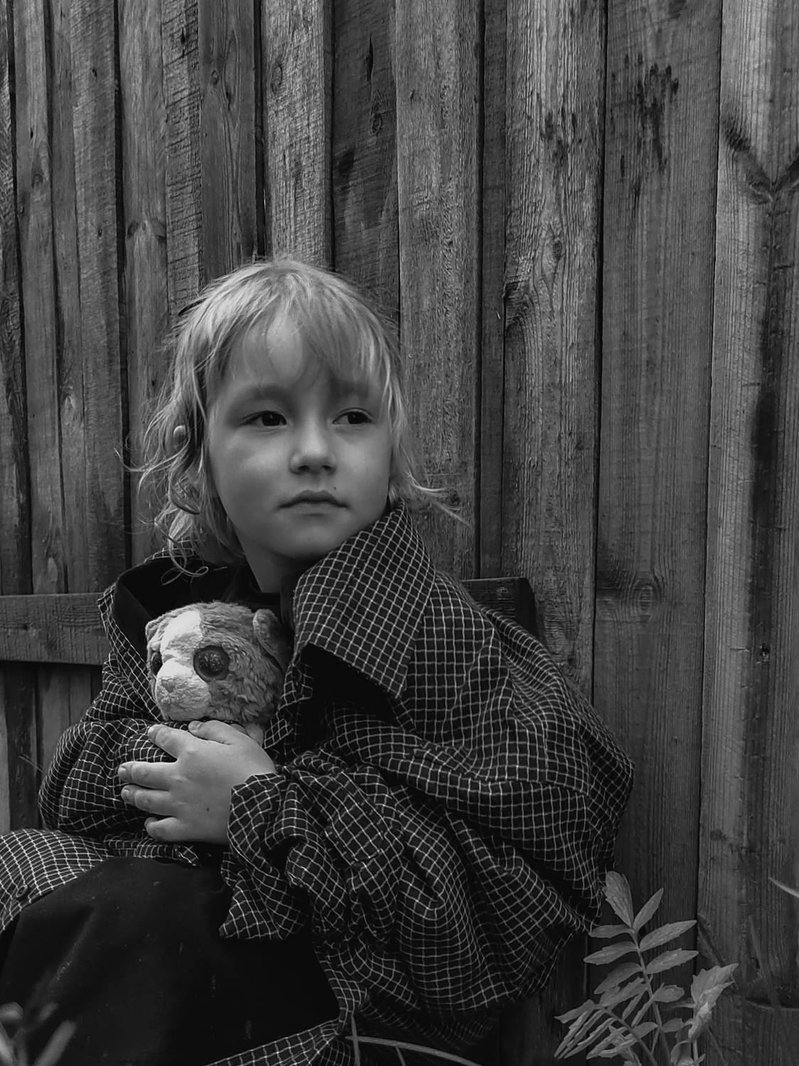 Photo #7611084