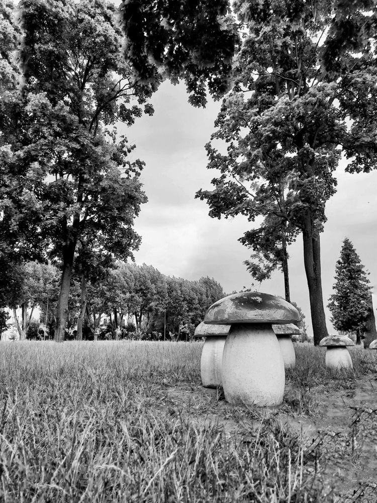 Фотография автора Inga