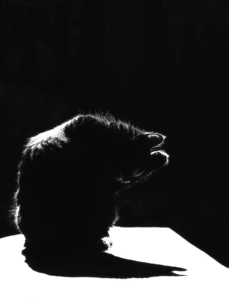 Photograph by Юлия Лушникова