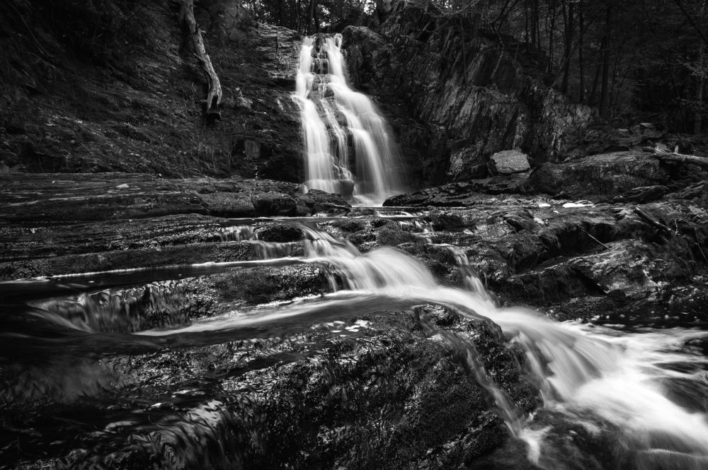 Photograph by Ryan Constable