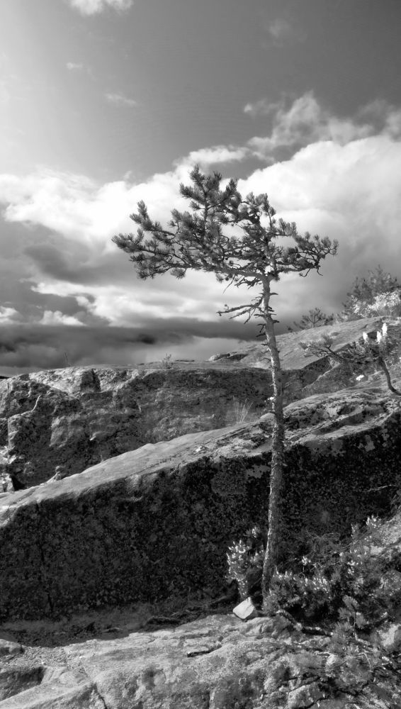 Photograph by Ирина Подборская