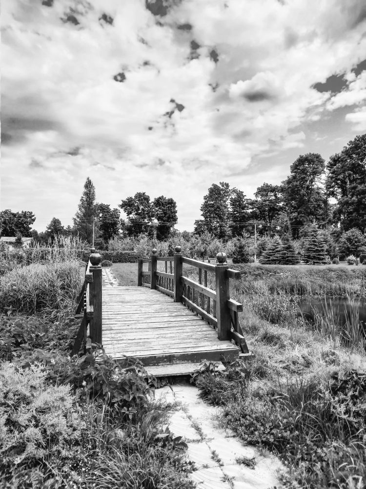 Фотография автора Inga