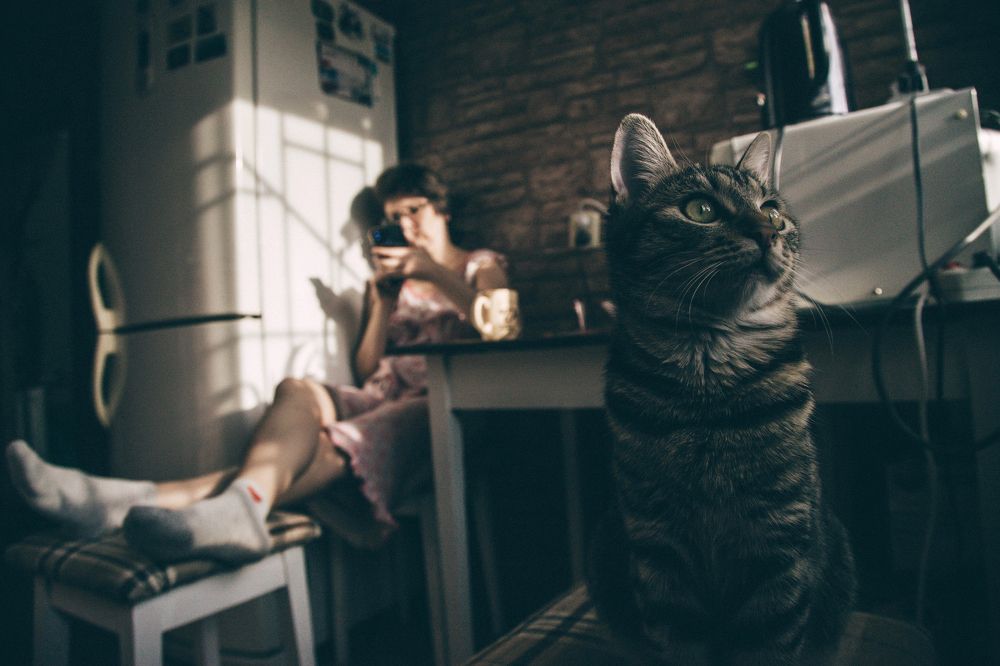 Photograph by Иван Ефремов