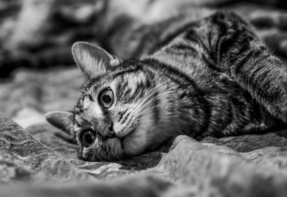 Photograph by Иван Ефремов