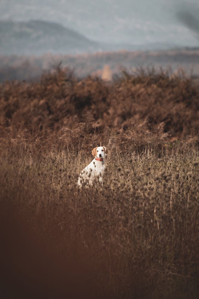 Photograph by Fahrudin Seferagić