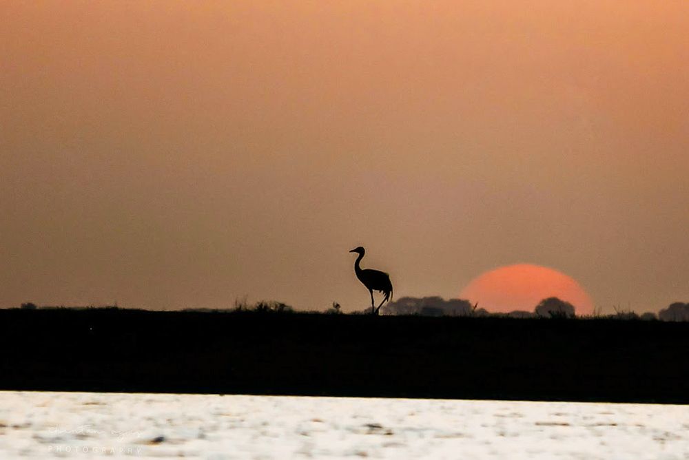 Photograph by Chintan Vyas