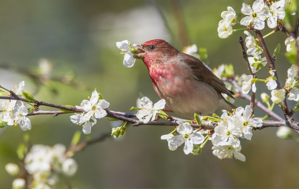 Photograph by Елена Швыдун