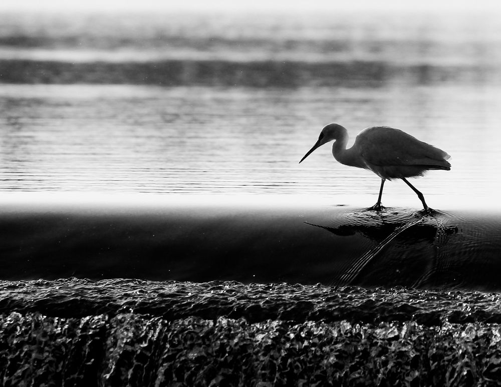 Photograph by Chintan Vyas