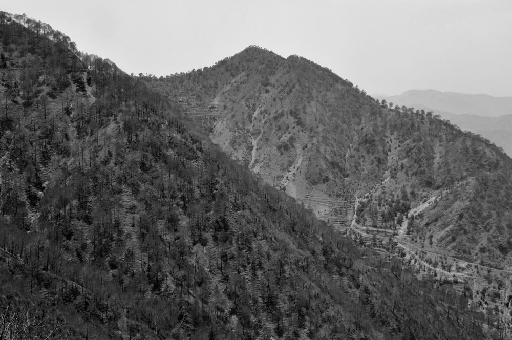 Photograph by SANDEEP KUMAR SHARMA SHARMA